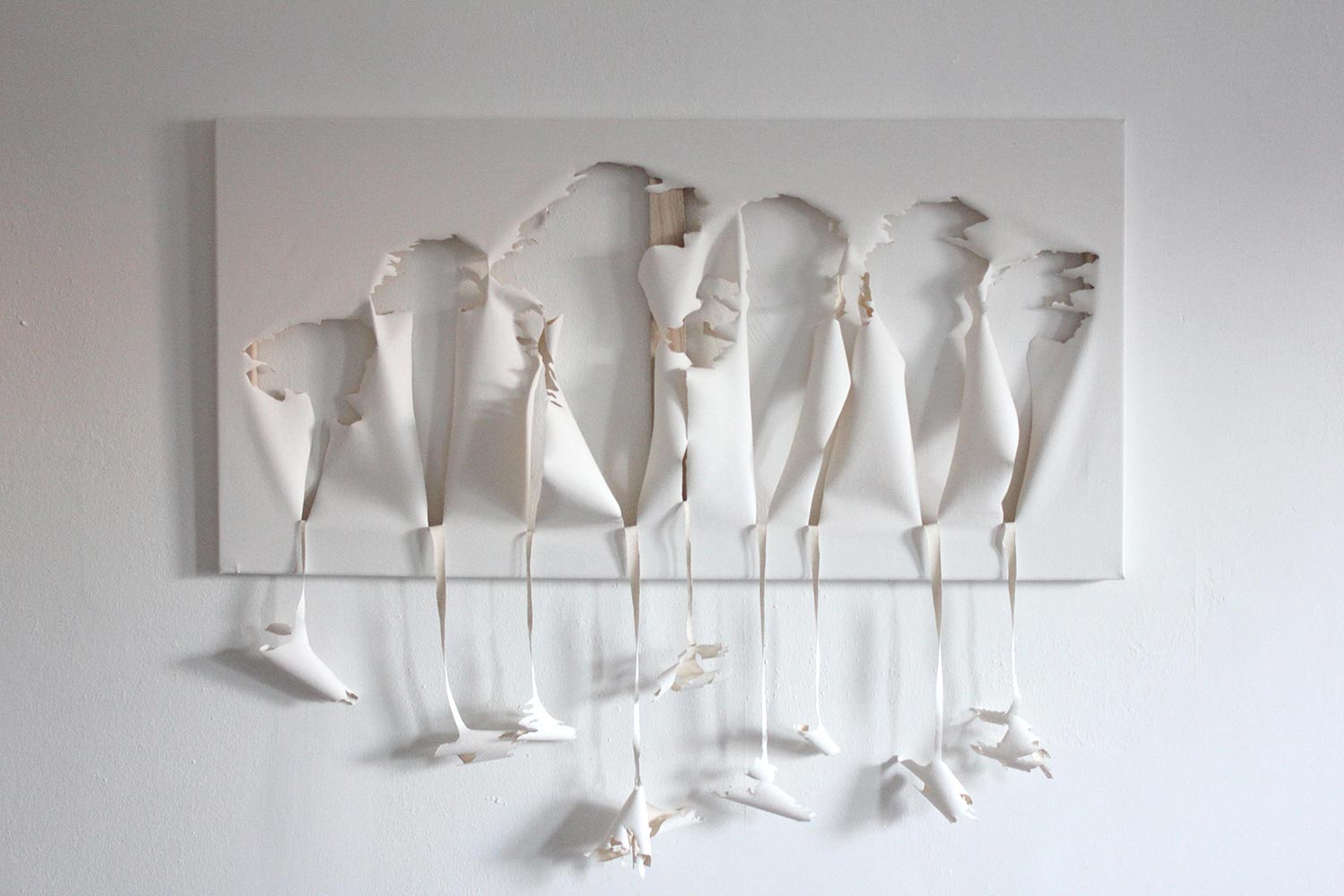 canvas showing the negative and empty space of mostly-cut and upside-down hanging eucalyptus trees